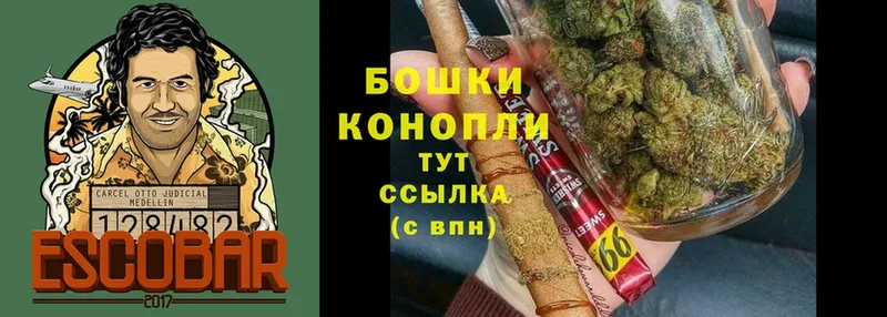 Бошки Шишки планчик  Владивосток 